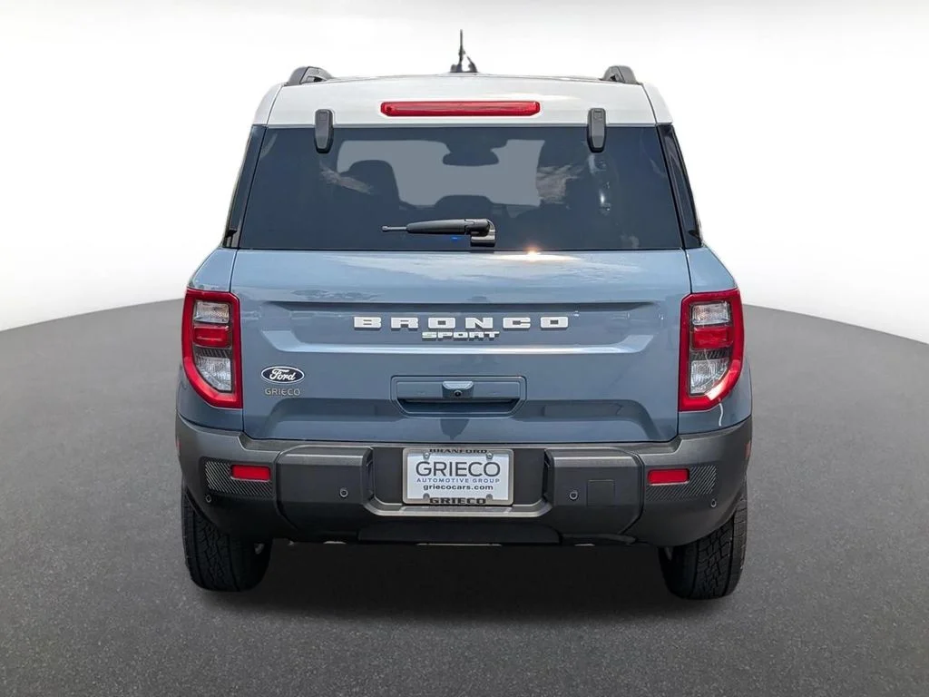 New 2026 Gray Ford Heritage image 4