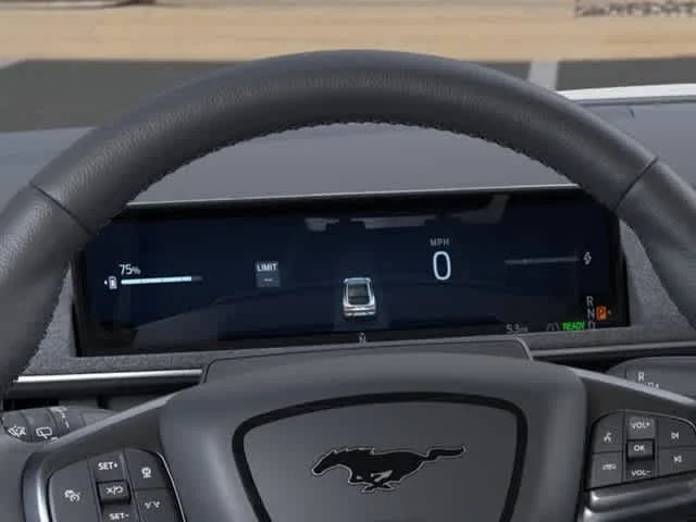 New 2026 Shadow Black Ford Premium image 17