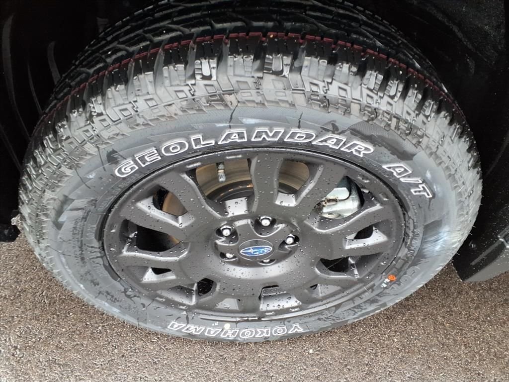 New 2026 AUTUMN GREEN METALLIC Subaru Wilderness image 17