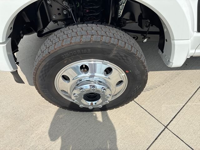 New 2026 White Ford Platinum image 10
