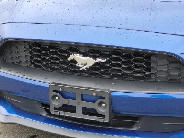 Used 2022 Blue Ford EcoBoost Premium image 36