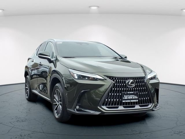 2024 Lexus NX
