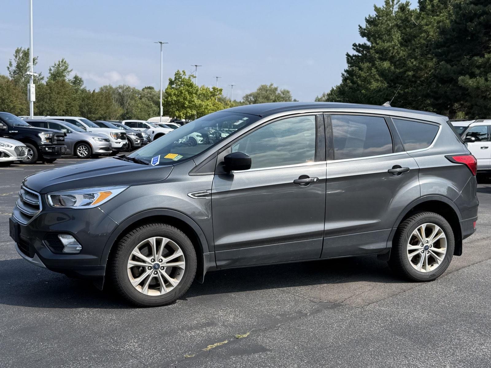 Used 2019 Magnetic Ford  image 4