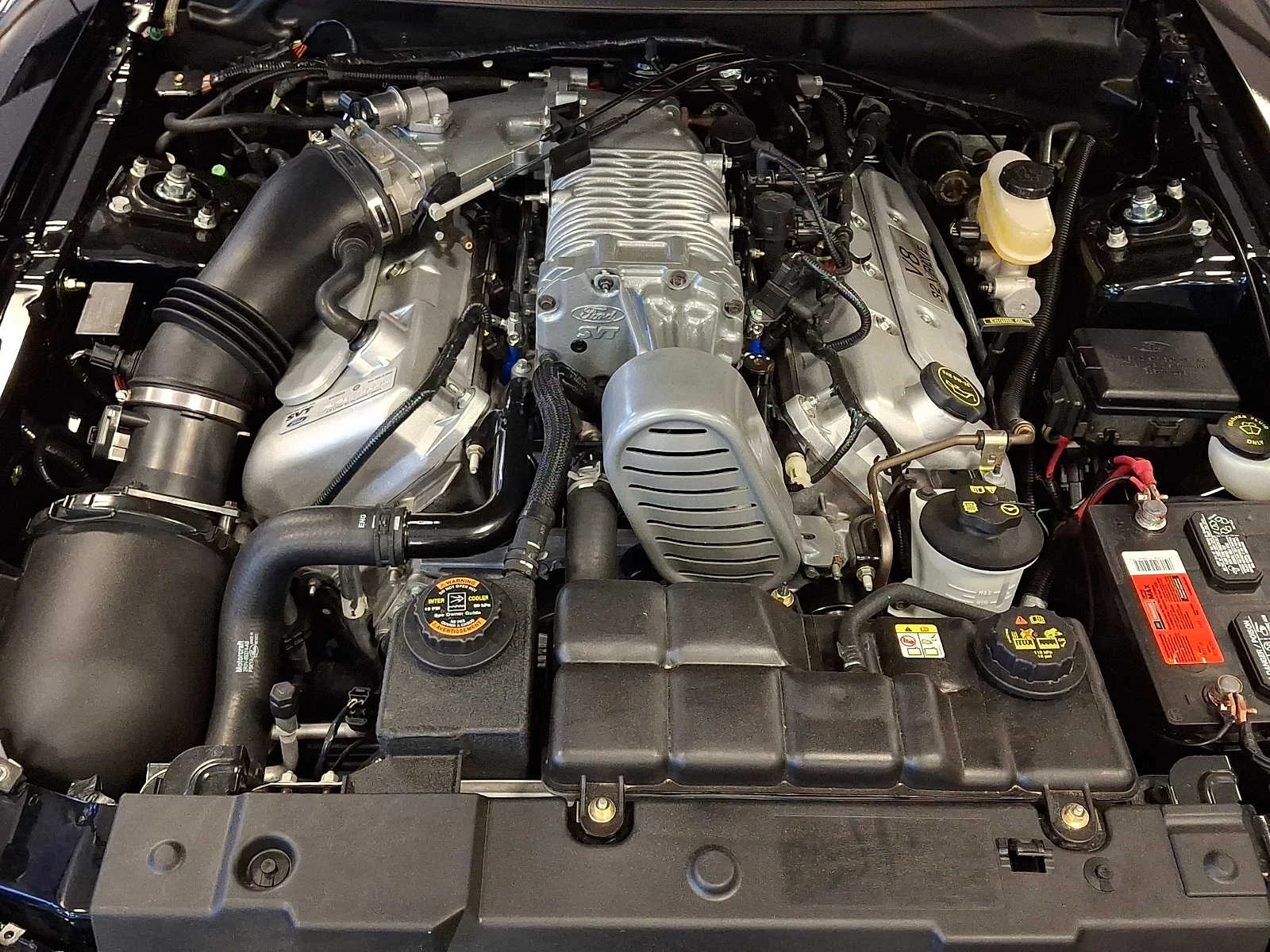 Used 2004 Black Ford SVT Cobra image 25