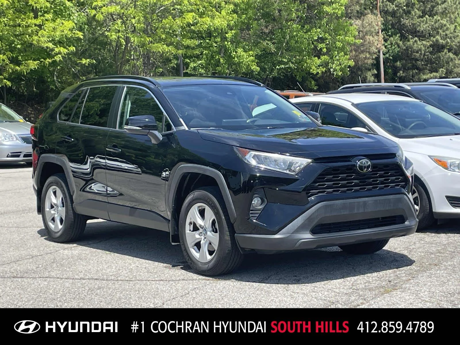 2019 Toyota RAV4 2019 Toyota RAV4 XLE Sport Utility