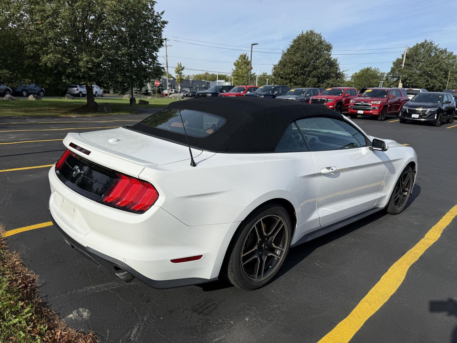 Used 2019 Oxford White Ford EcoBoost Premium image 4