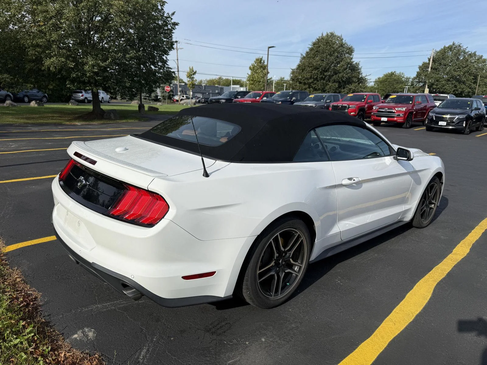 Used 2019 Wh Ford EcoBoost image 4