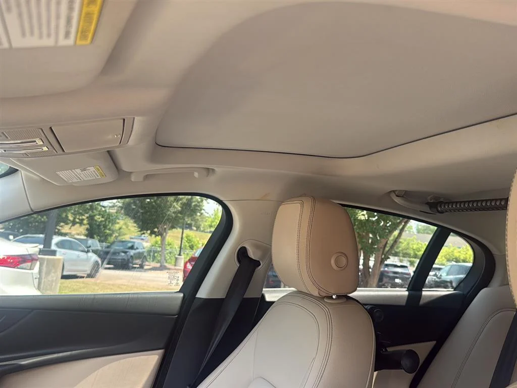 Used 2019 Narvik Black Jaguar 25t Prestige image 10
