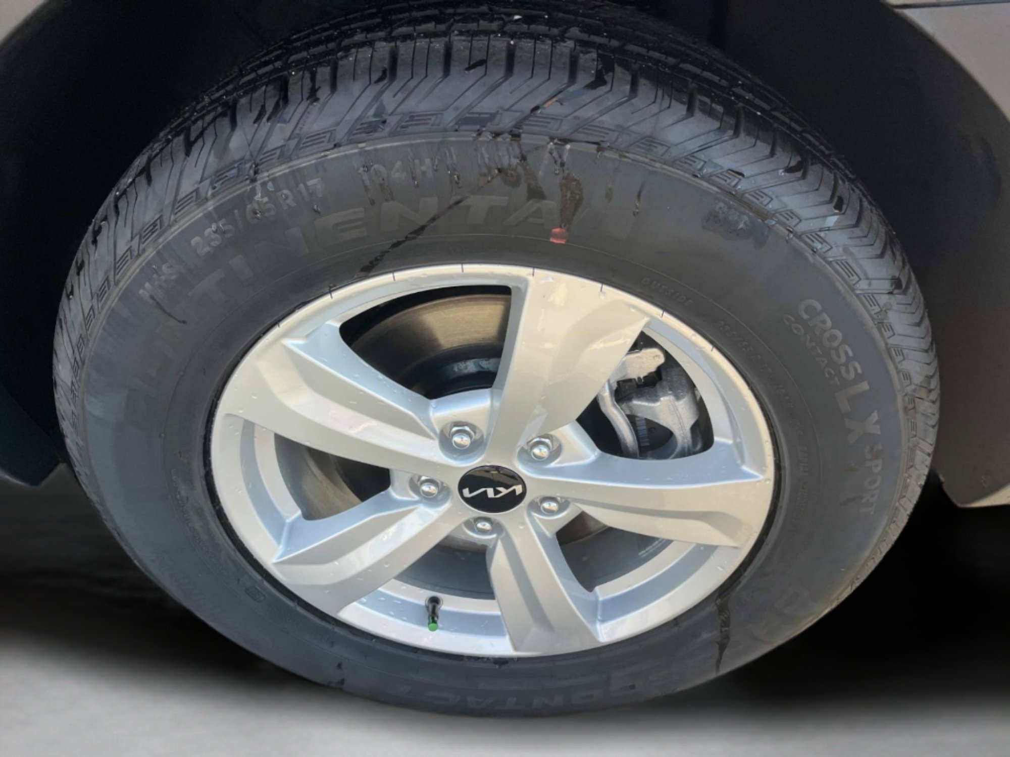 New 2026 Panthera Metal Kia LX image 11