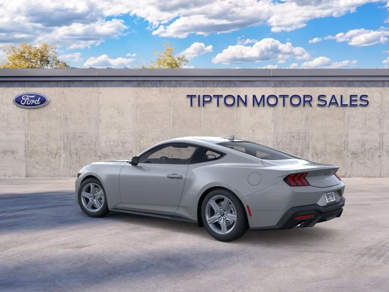 New 2026 Avalanche Gray Ford EcoBoost® Fastback image 4