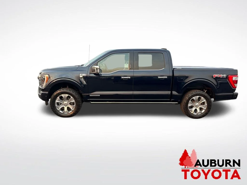 Used 2023 Blue Metallic Ford Platinum image 8