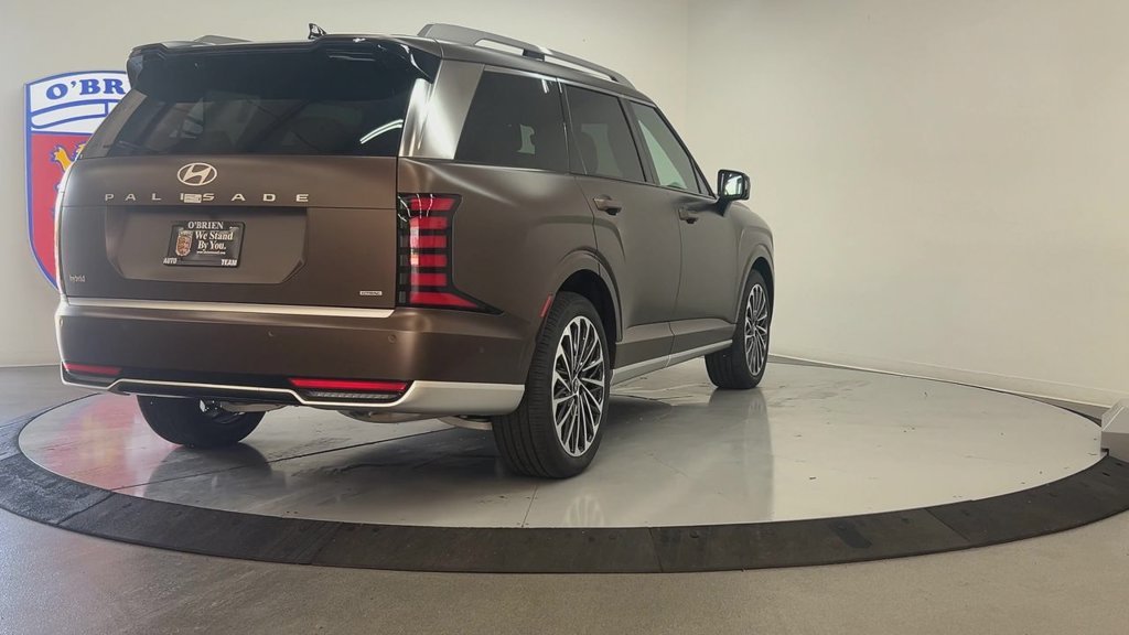 New 2026 Earthy Brass Matte Hyundai Calligraphy image 6