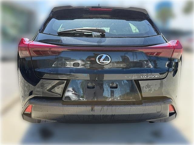 Used 2024 CAVIAR Lexus Premium 4dr Crossover image 5