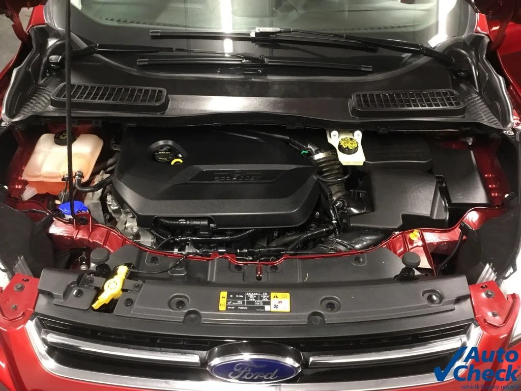 Used 2014 Red Ford Titanium image 42