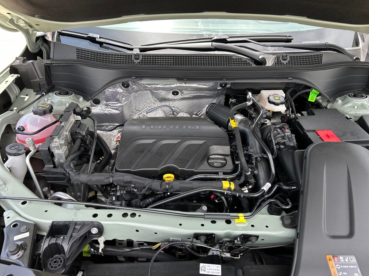 New 2026 Cacti Green Chevrolet ACTIV image 8