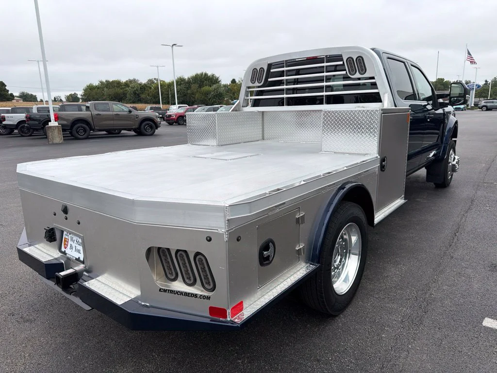 New 2027 Neptune Blue Ford F-450® Platinum image 5