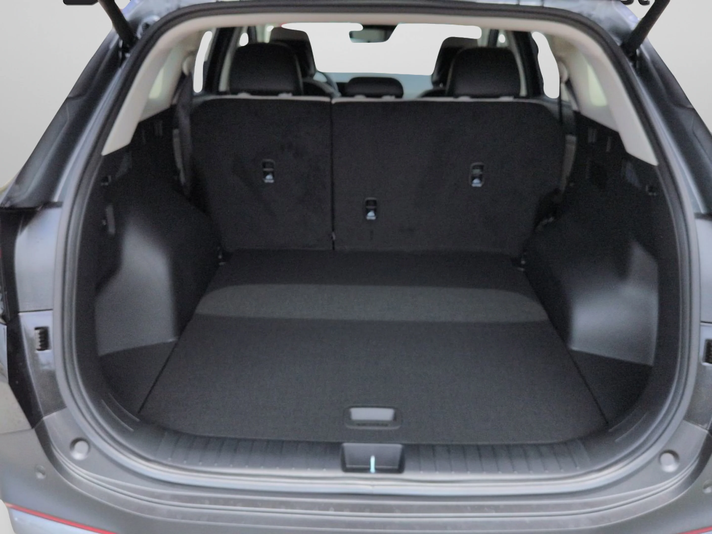 New 2026 Panthera Metal Gray Kia EX image 31
