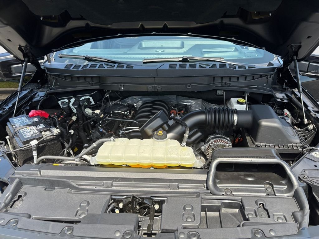 Used 2025 Black Ford Tremor image 14