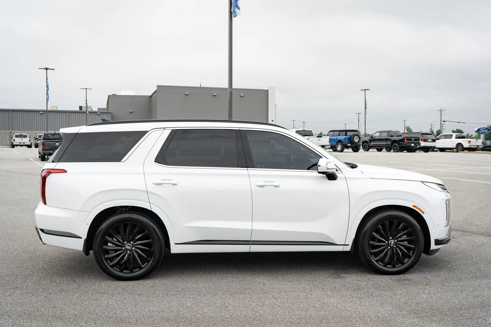 Used 2025 White Hyundai Calligraphy Night Edition image 11