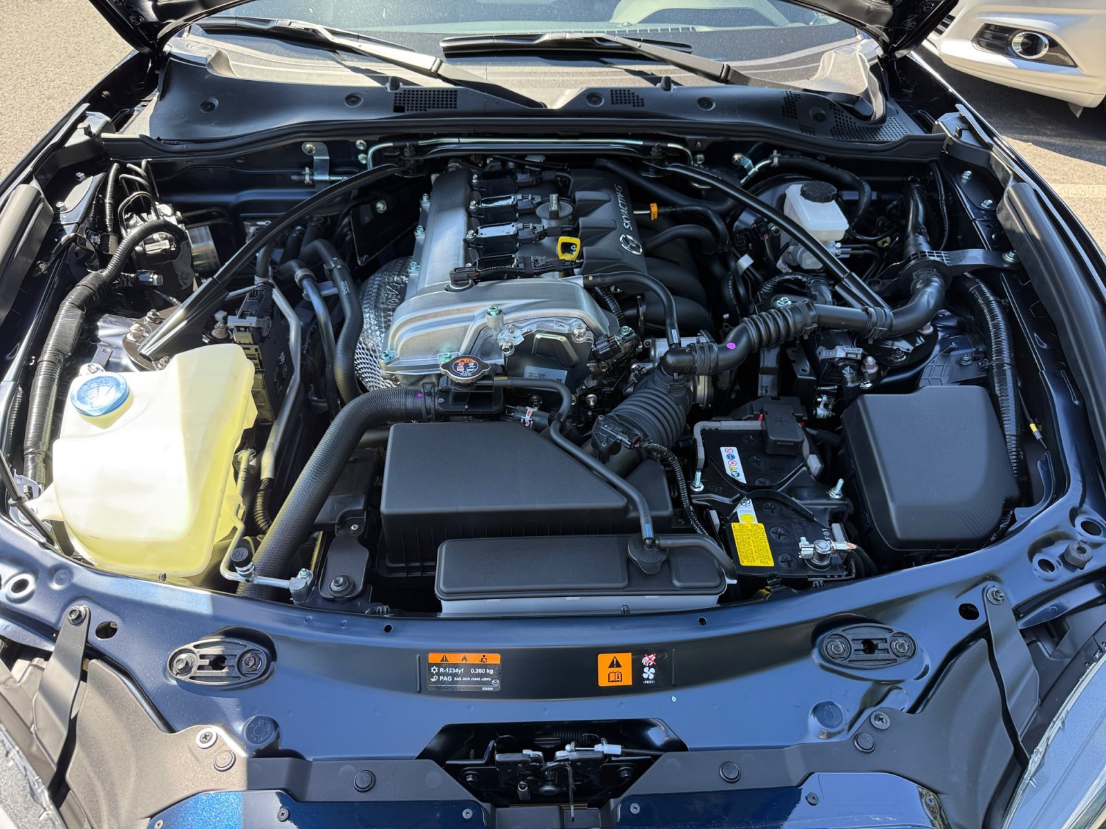 New 2026 Deep Crystal Blue Mica Mazda Club image 18