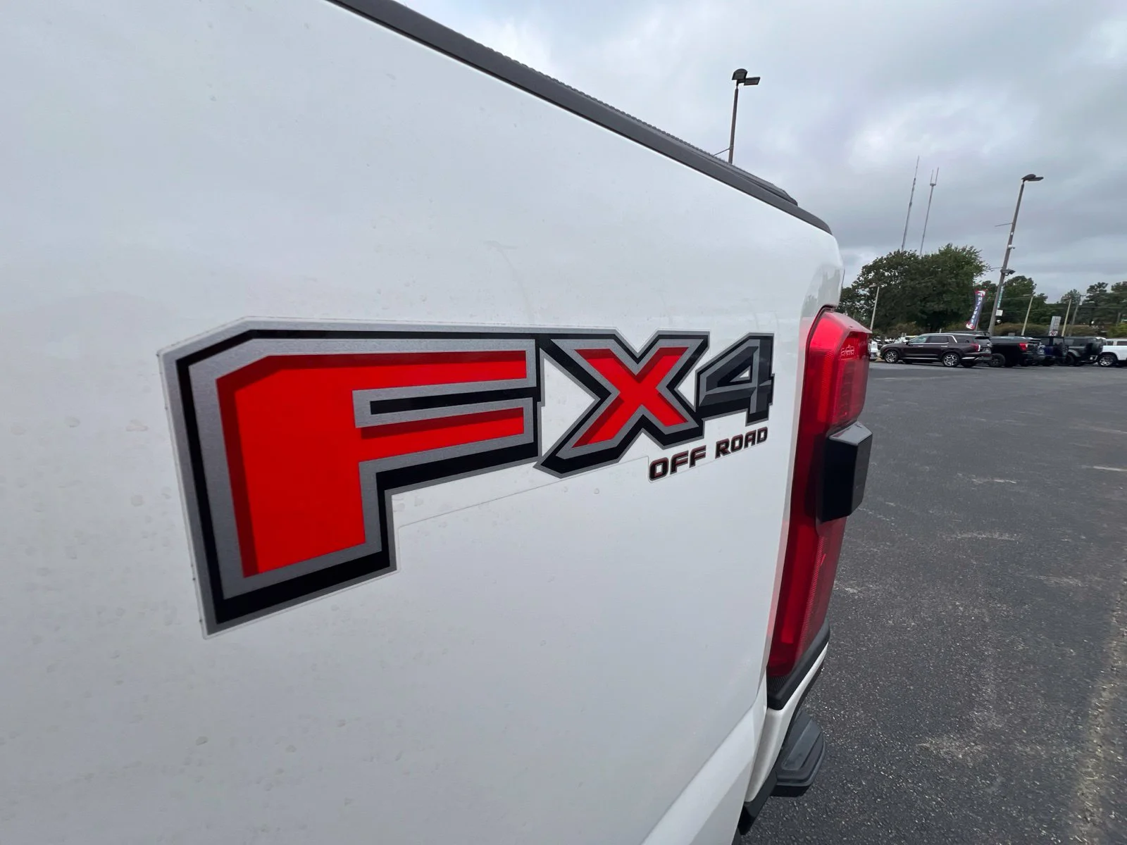 Certified Used 2024 Star White Ford Platinum image 31