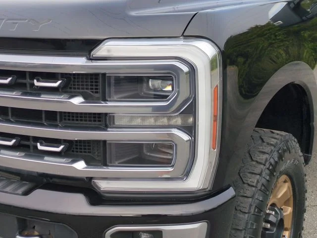 Used 2024 Black Ford Platinum image 9