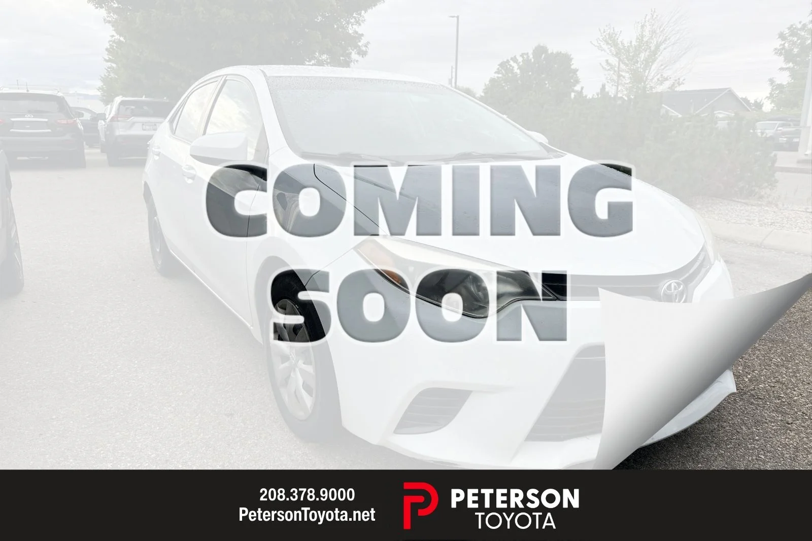 Used 2016 White Toyota LE image 1