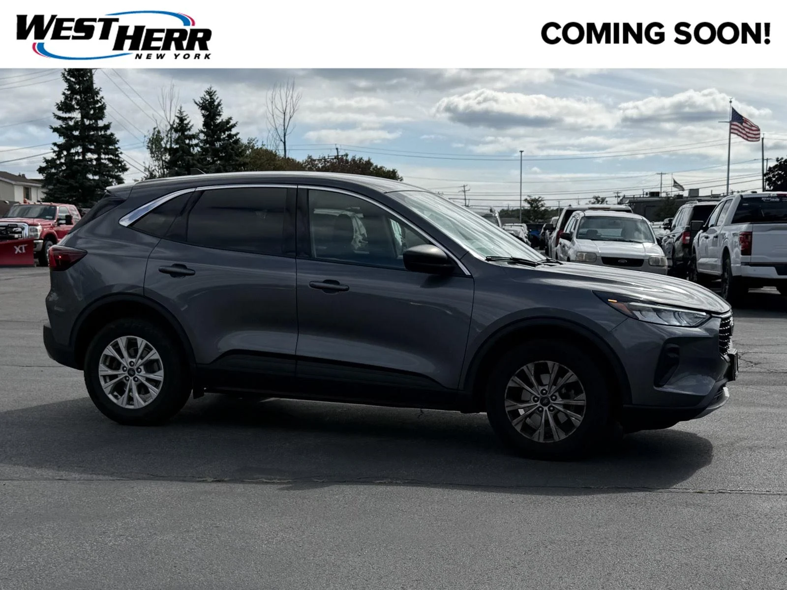 Used 2023 Carbonized Gray Ford Active image 1