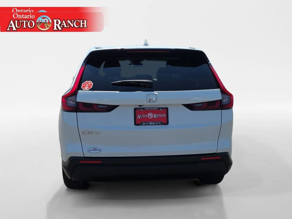 Used 2025 WHITE Honda EX-L image 4