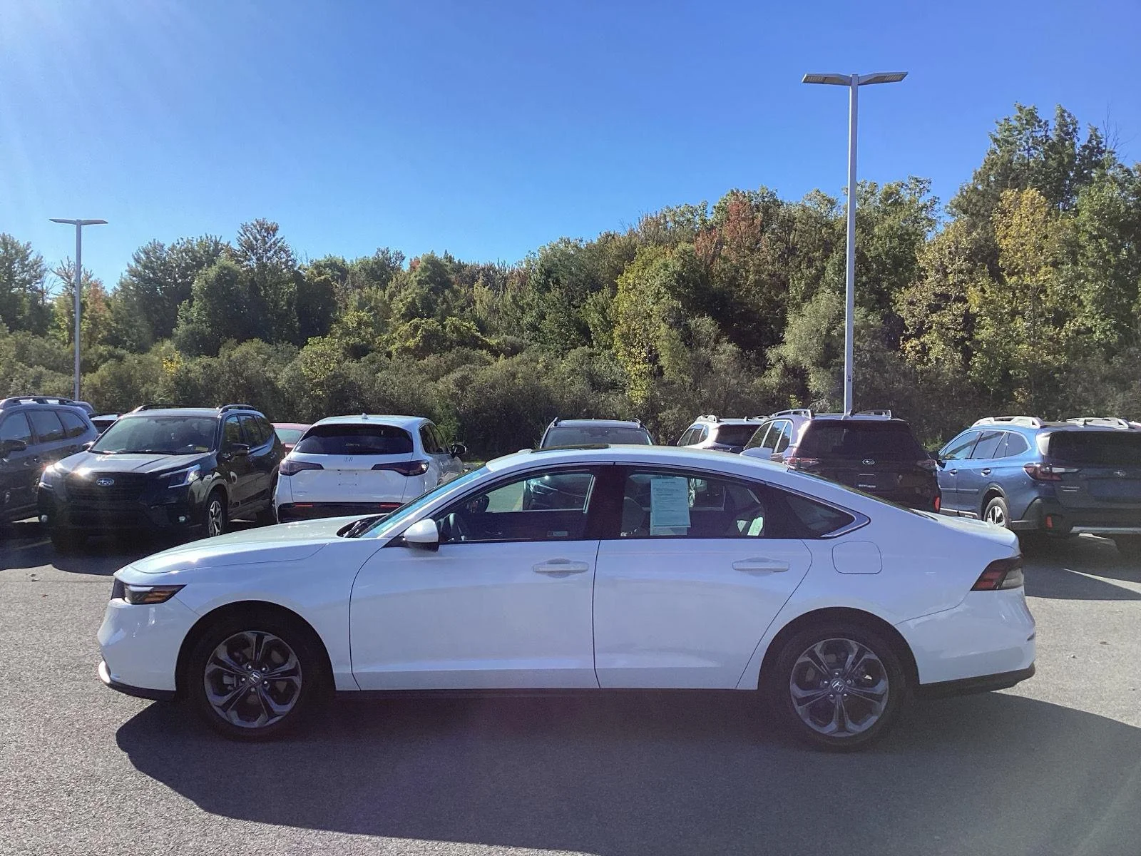 Used 2023 Platinum White Pearl Honda EX image 4