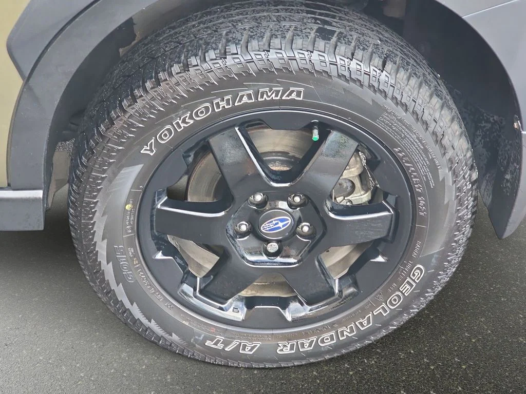 Used 2022 Brown Subaru Wilderness image 36