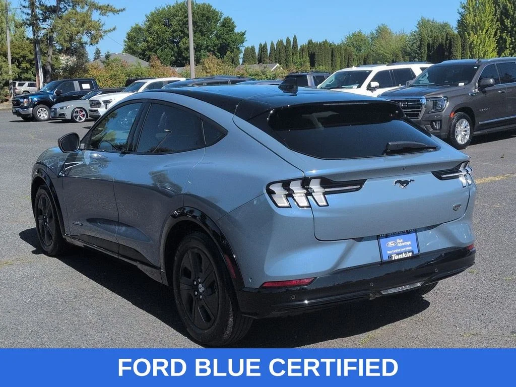 Used 2023 Vapor Blue Ford California Route 1 image 3