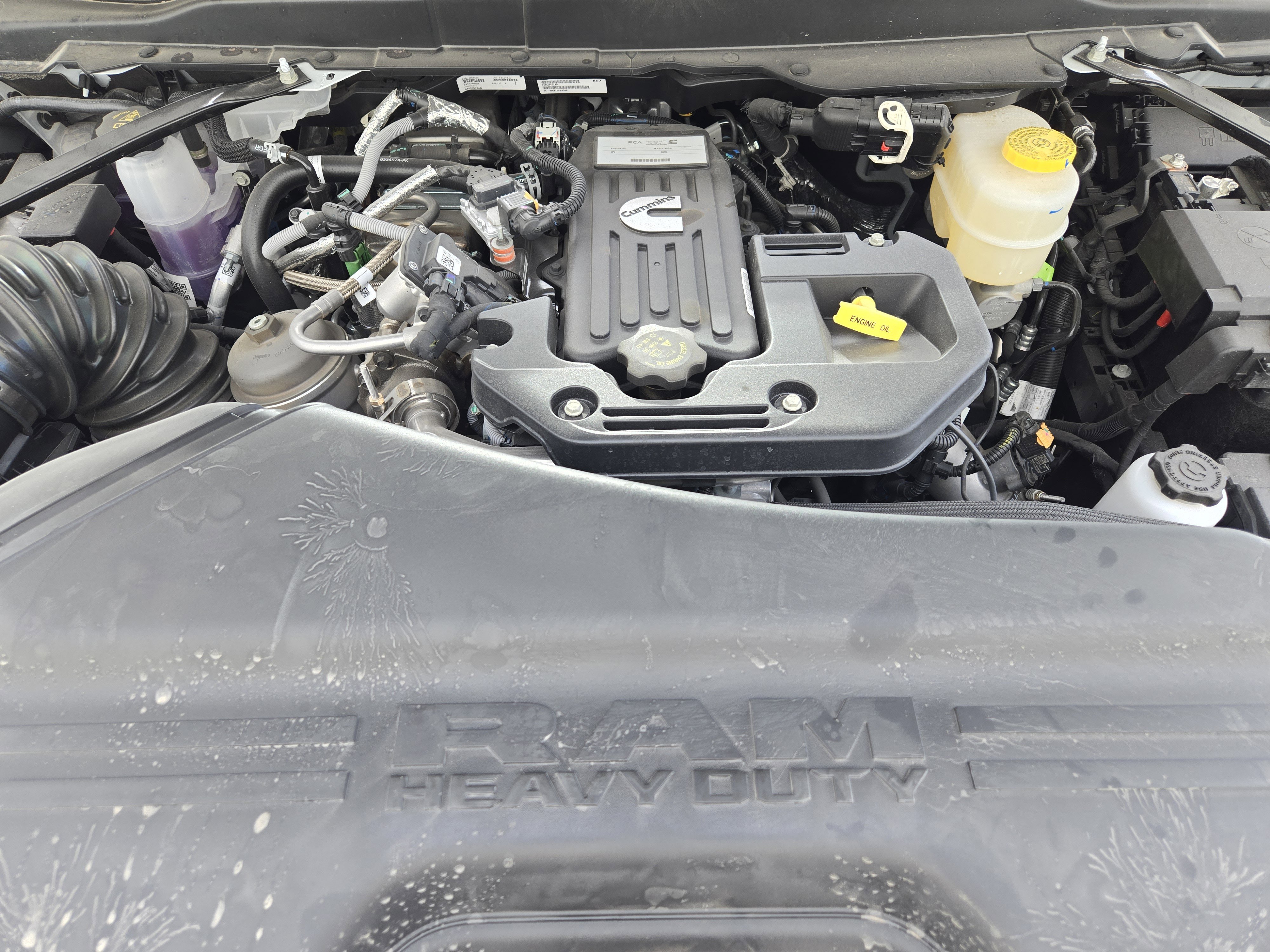 New 2026 Bright White Clear-Coat Exterior Paint RAM Tradesman image 23