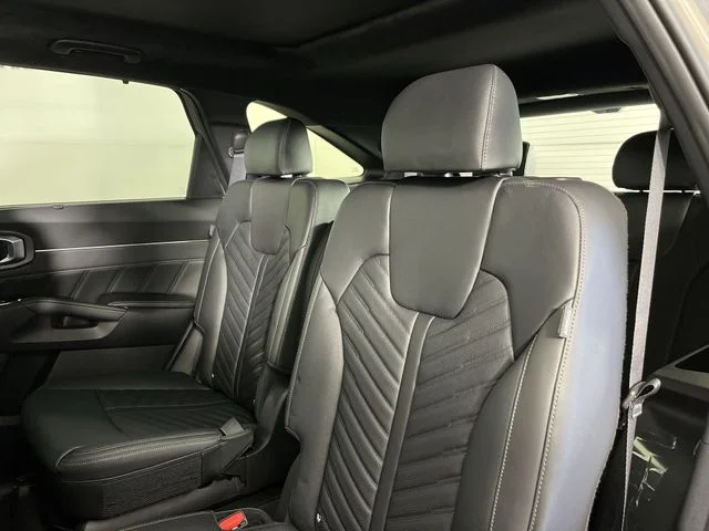 New 2026 Road Rider Brown Kia X-Line SX Prestige AWD image 23