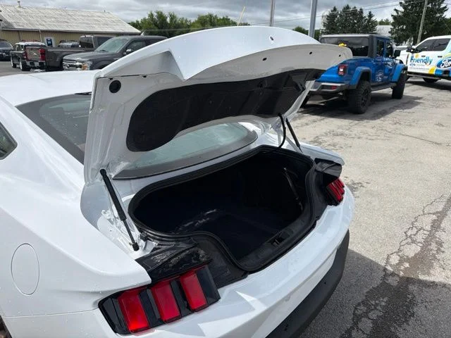 2025 Ford Mustang EcoBoost Premium Fastback - Photo 45