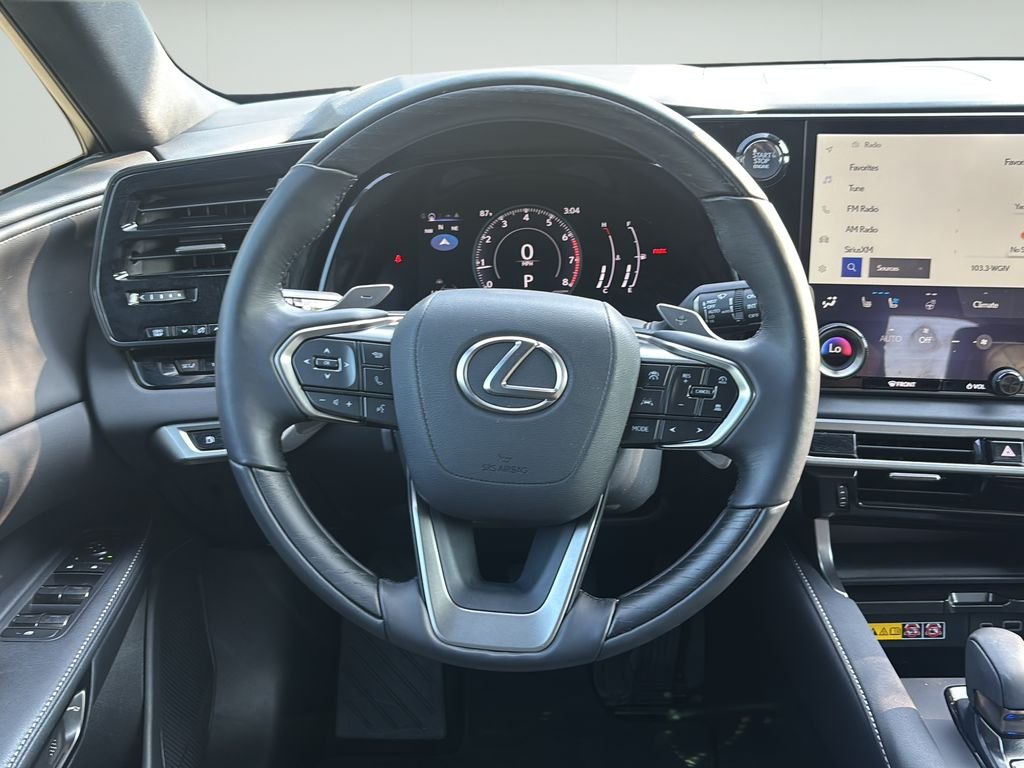 2024 Lexus RX 350 - Photo 21