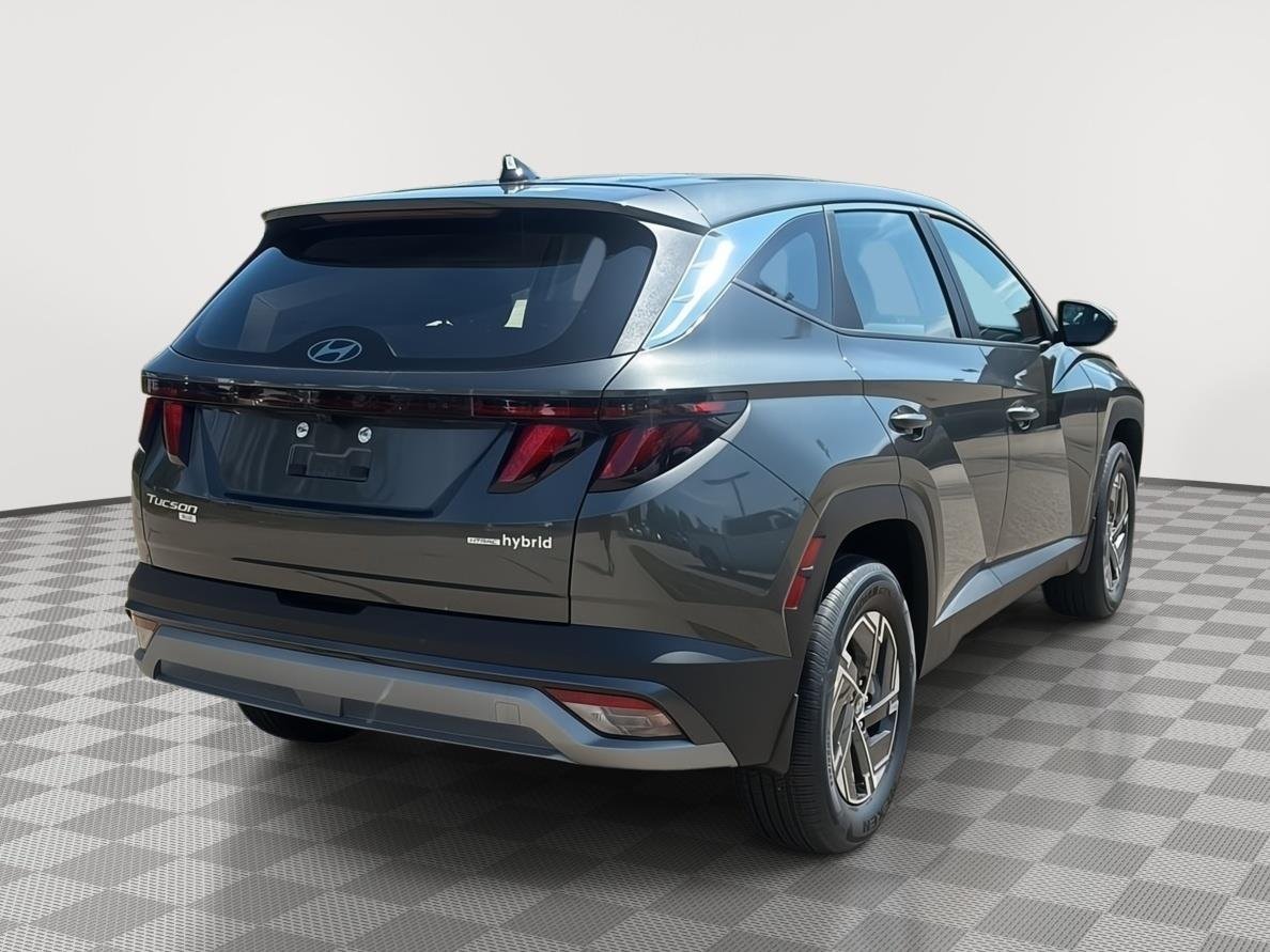 New 2026 Amazon Gray Hyundai Blue image 5