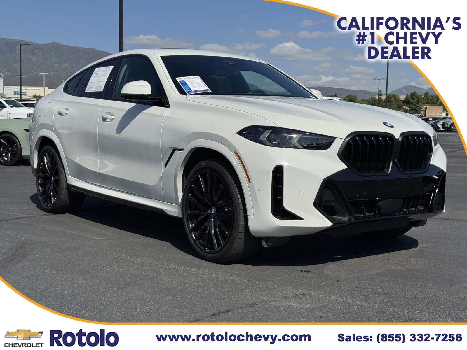 2024 BMW X6