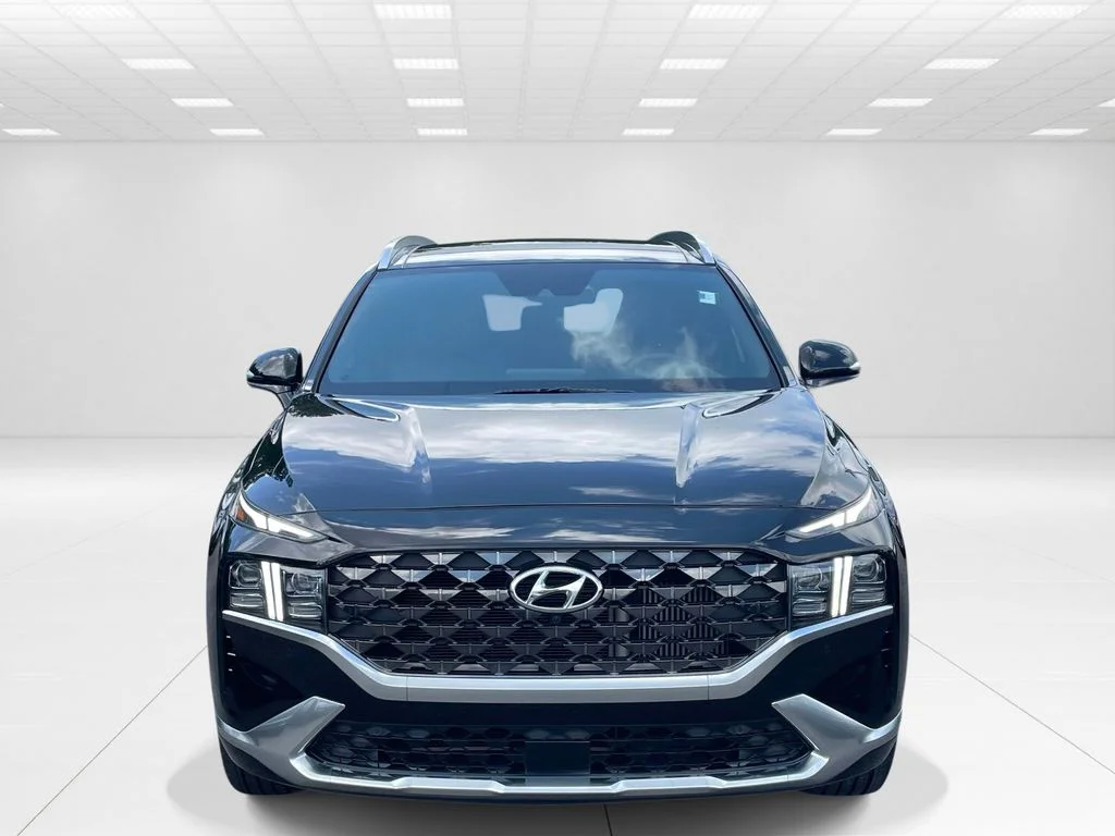Used 2023 Black Hyundai Calligraphy image 2
