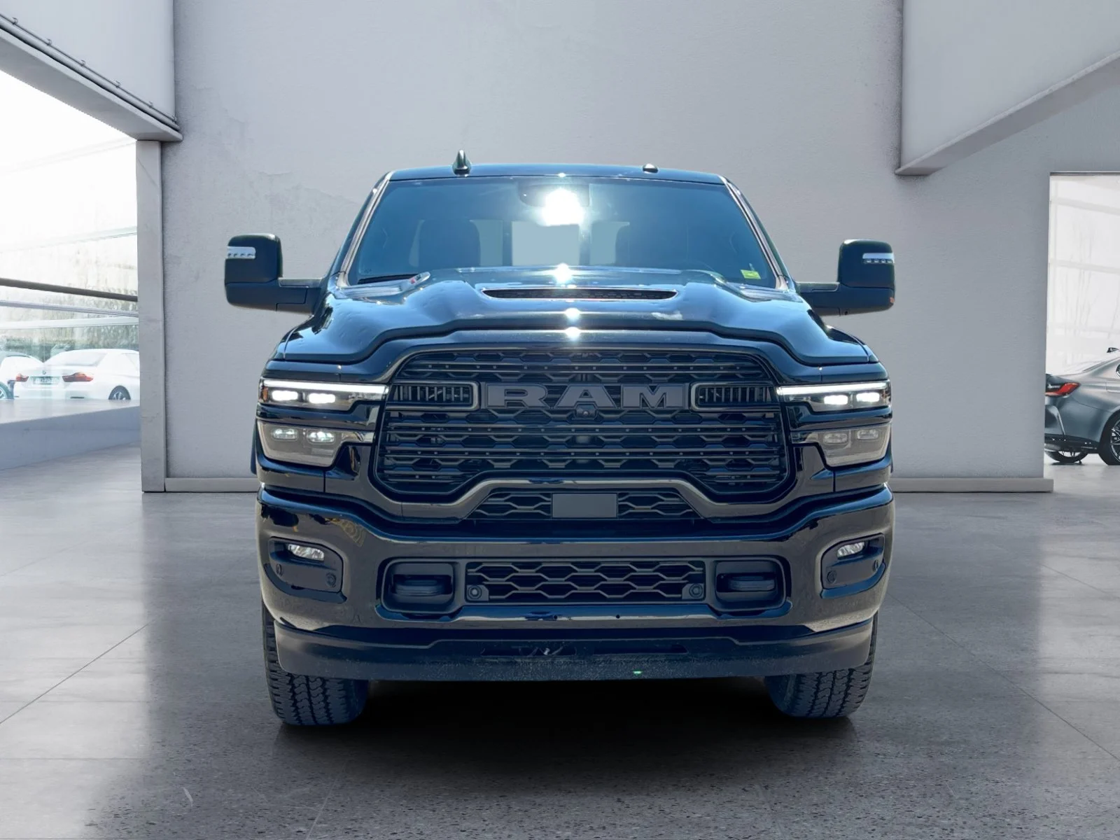 New 2026 Diamond Black Crystal Pearl Ram Limited image 8