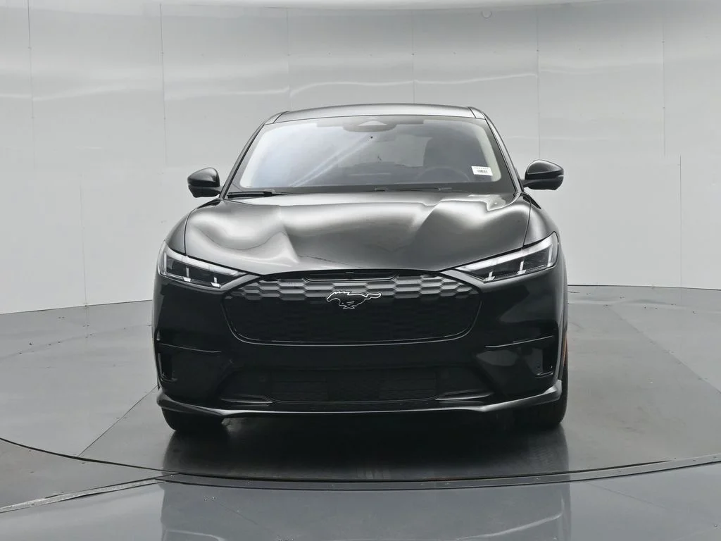 New 2026 Shadow Black Ford Premium image 22