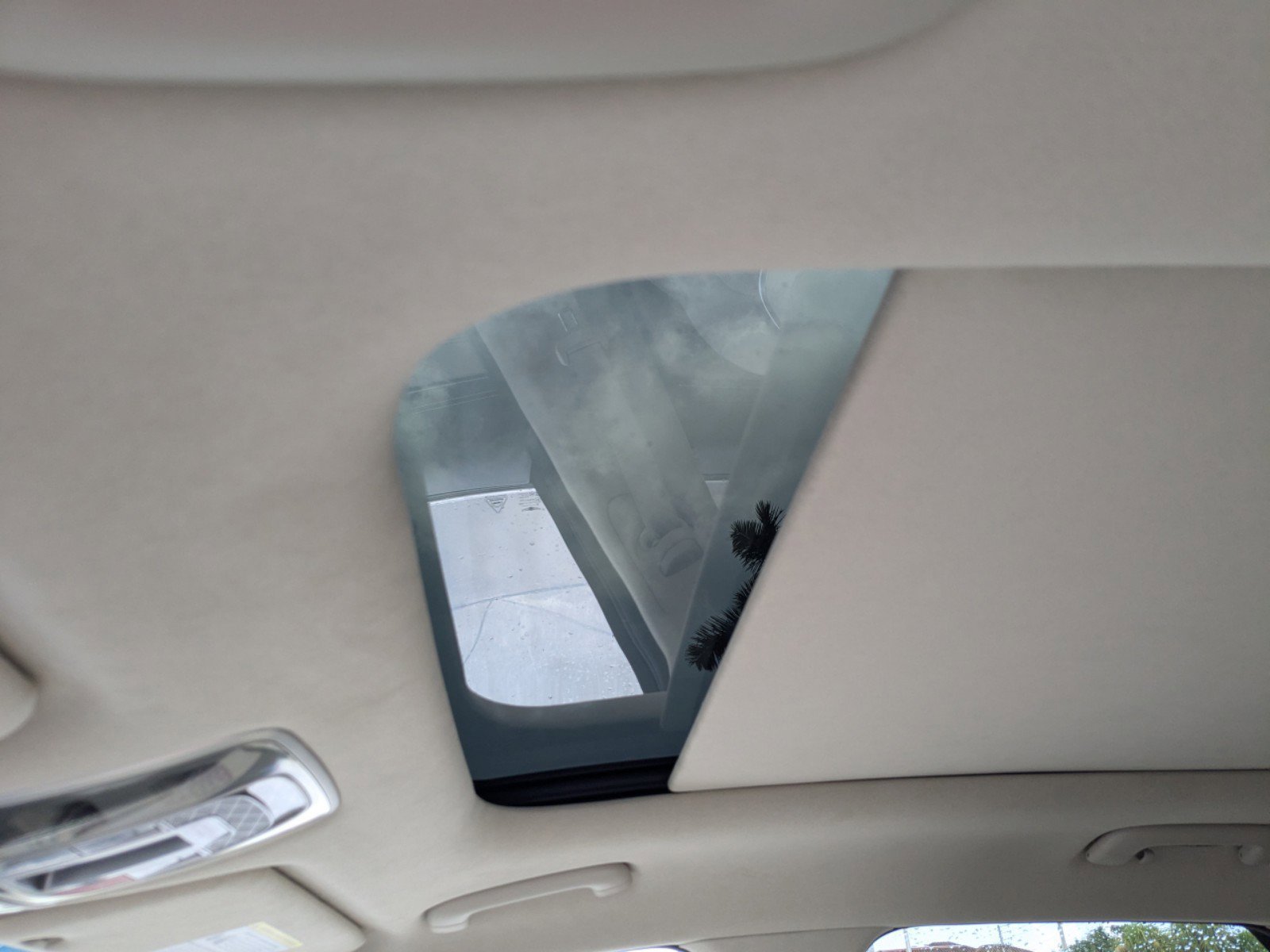 Used 2025 Vik Black Genesis  image 19