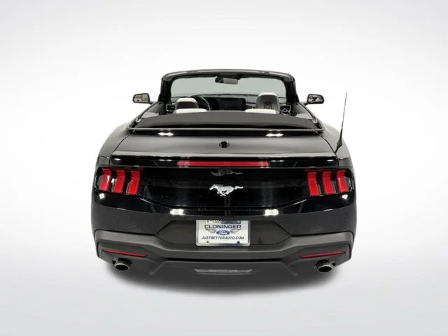 Used 2024 Black Ford EcoBoost Premium image 10