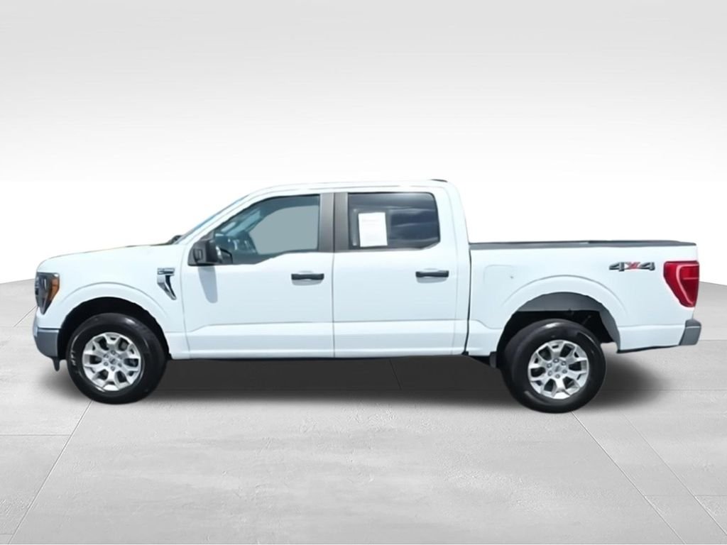 Used 2023 White Ford XLT image 5
