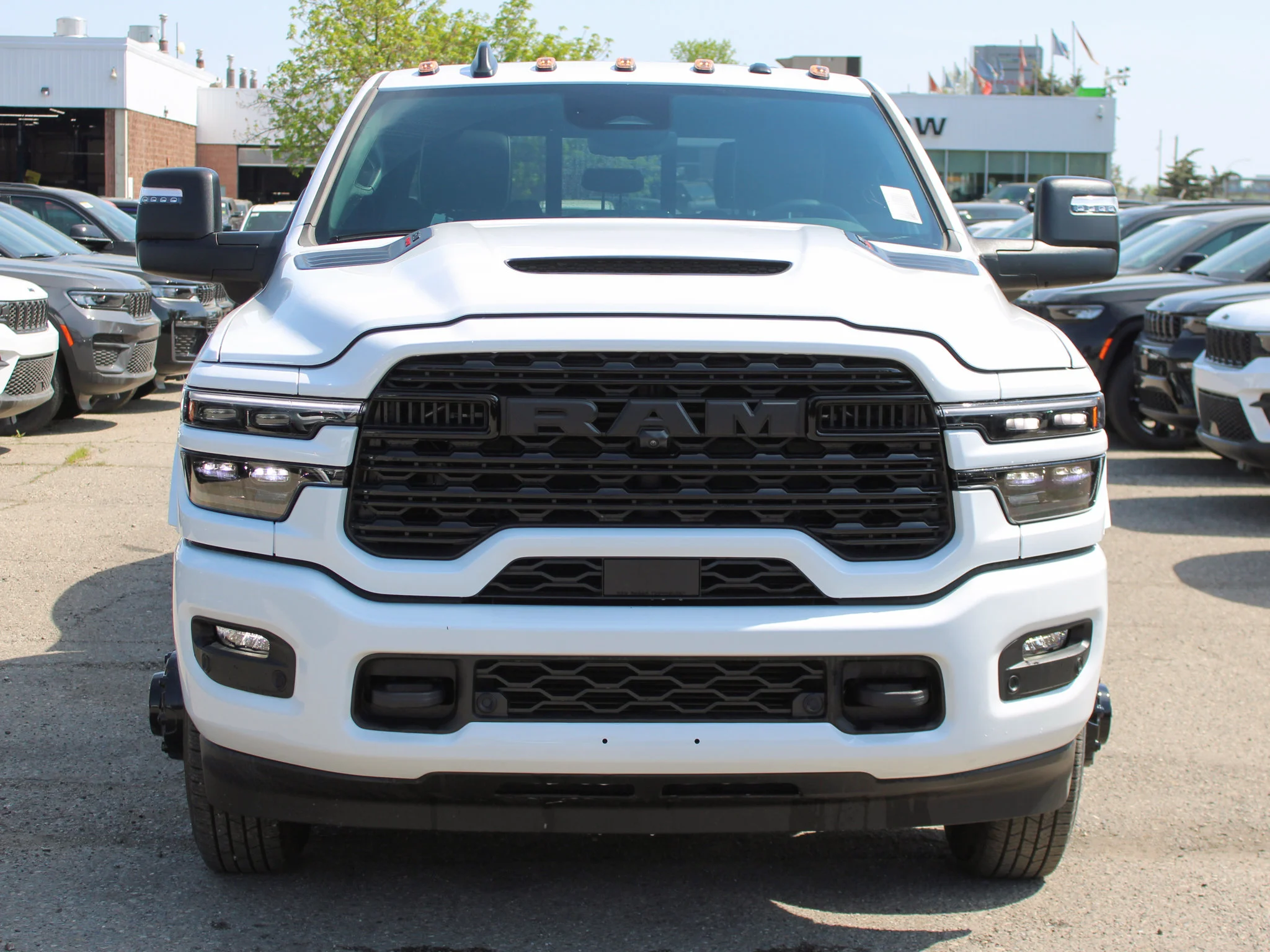 New 2026 White RAM Limited* image 9