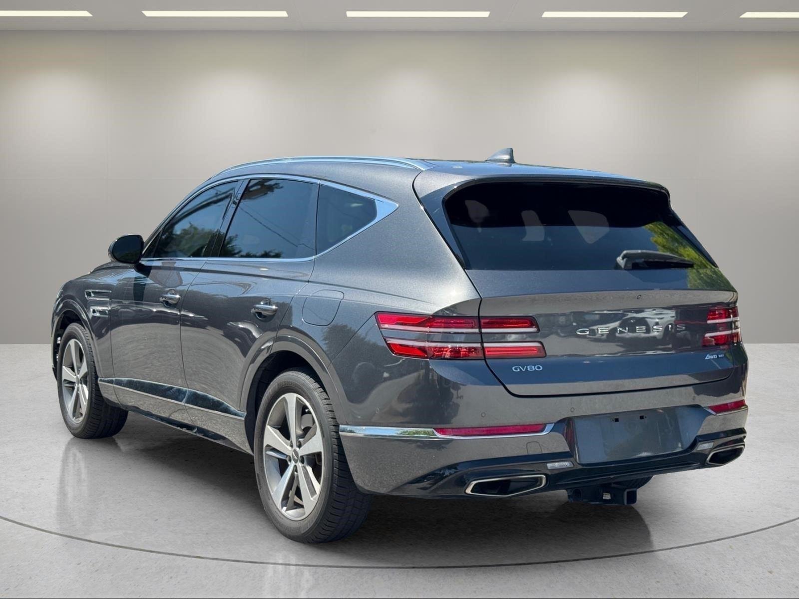 Used 2021 Himalayan Gray Genesis Advanced + image 3