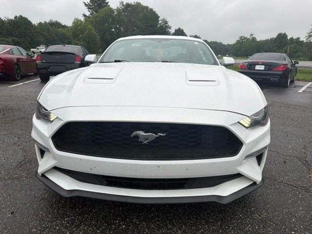 Used 2019 Ford Mustang EcoBoost with VIN 1FA6P8TH9K5146866 for sale in Madison, NC