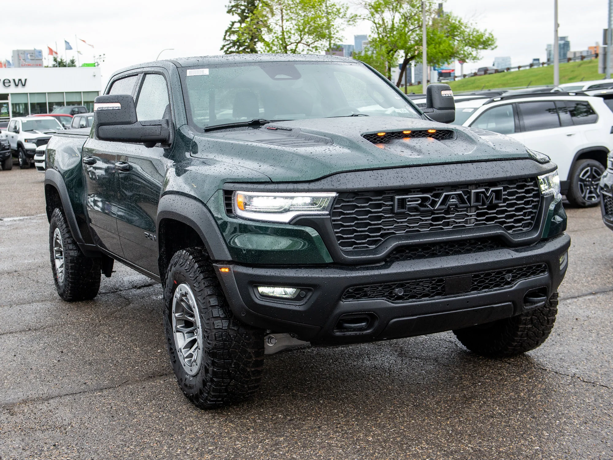 New 2026 Green RAM RHO* image 8