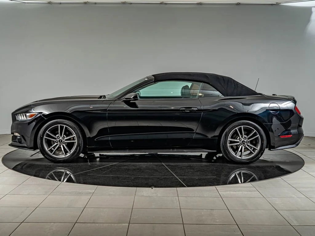 Used 2017 Shadow Black Ford EcoBoost Premium image 9