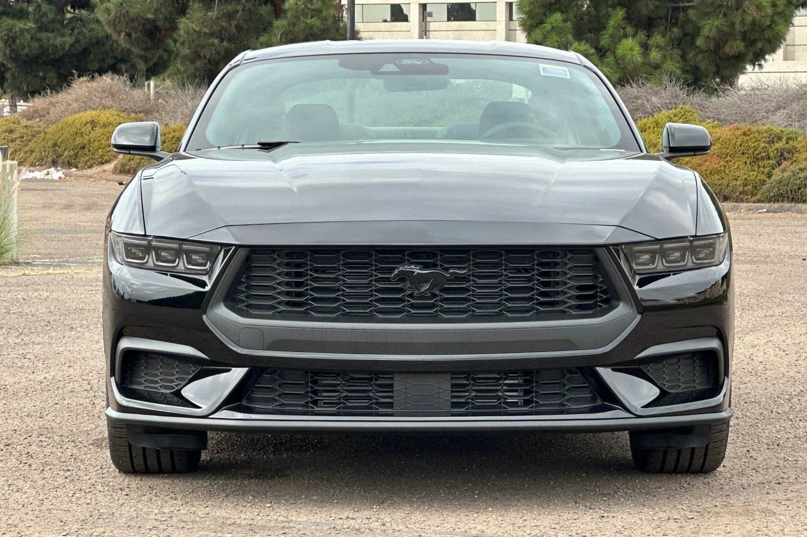 New 2026 Shadow Black Ford EcoBoost® Premium Fastback image 5